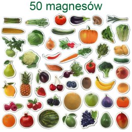 Zestaw Magnesów Owoce i Warzywa 50 sztuk MV 6032-42 Magdum