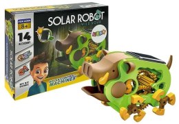 Edukacyjny Robot Do Złożenia Solarny Dzik DIY Zielony Import LEANToys